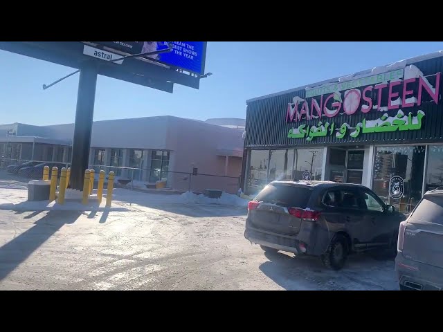 Mangosteen / Quick Pick / Ottawa Plastic Surgery / 1750 Bank Street / Alta Vista