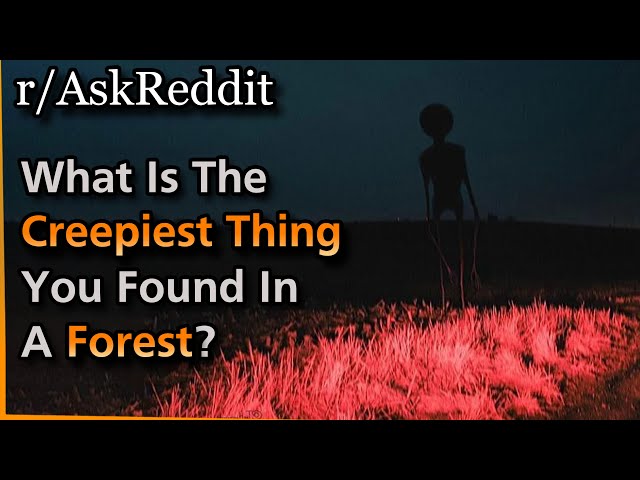 [Serious] What is the creepiest thing you found in a forest? | Askreddit
