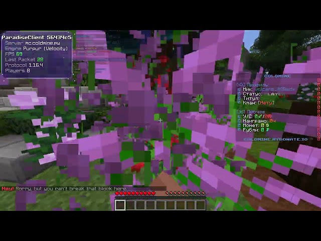 💲JEWNET DOWNED GAMES💲 BEST C2 IN 2026! 💲 5 TB/S C2 💲 VS coldmine