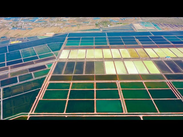 Live: How sea salt is harvested the traditional way in NE China's Fuzhou Bay