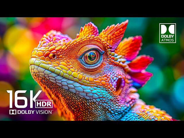 Impossible HDR Quality OLED TEST | 16K Video ULTRA HD Dolby Vision 120FPS (8K/4K Video TV)