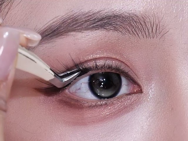 Natural Eye Makeup Tutorial for Beginners | Step-by-Step Eyeliner & False Lashes Routine