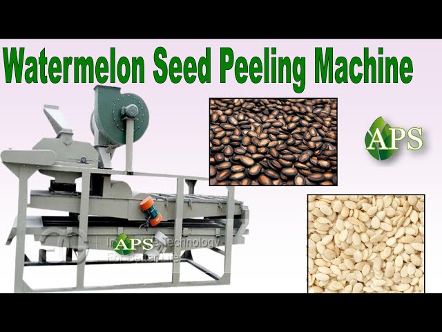 Automated Watermelon Seed Peeling Machine