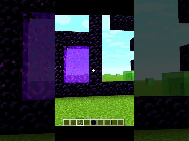 DIFFERENT PORTALS #minecraft #shorts #speech