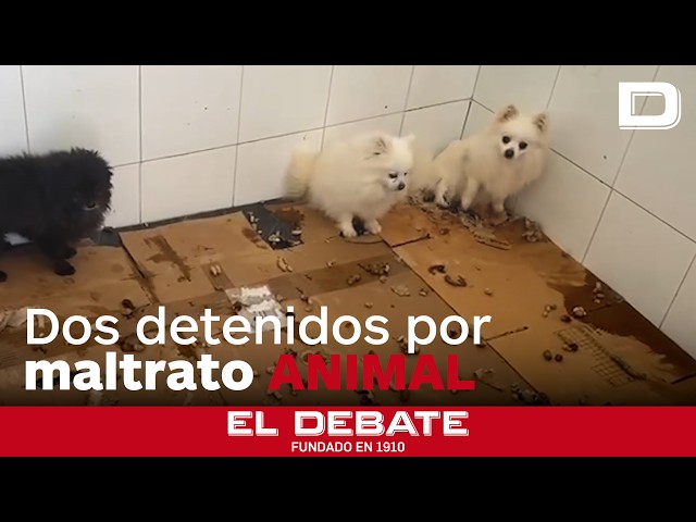 Desmantelan un criadero de perros en Málaga por maltrato animal