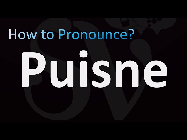 How to Pronounce ''Puisne'' Correctly in English