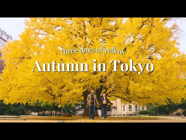 3 Days of Tokyo in Autumn (from Mt Fuji) 🍁 Ueno, Gotokuji, Hibiya, Shibuya & Ginza | Japan Vlog