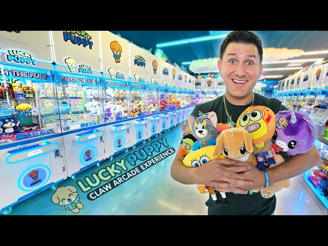 Lucky at Lucky Puppy Clawcade in Las Vegas!