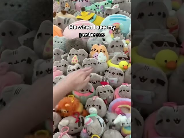 Yeah #pusheen #plush #plushies #kawaii #cute #cat #kitty #squish #squishmallows #collection