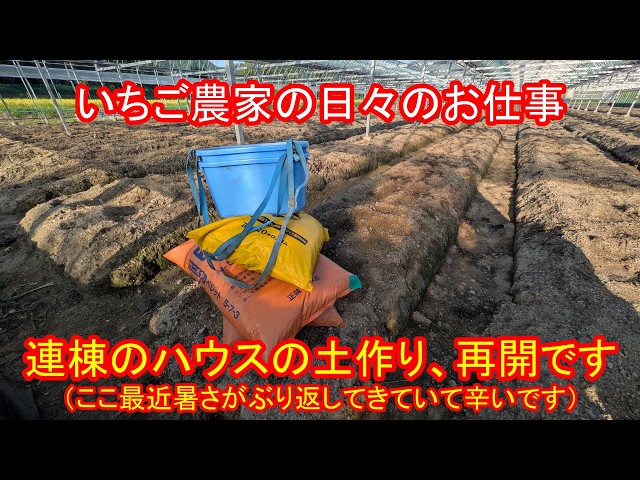 Resuming soil preparation in the multi-span greenhouse (the heat has been making a comeback latel...