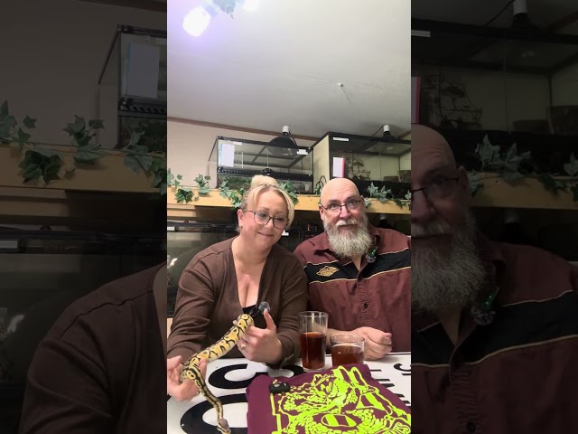 Introduction  to our first ball python Columbus