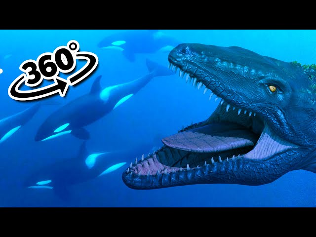 360° Witness the Chaos: Orcas Escape from Mosasaurus