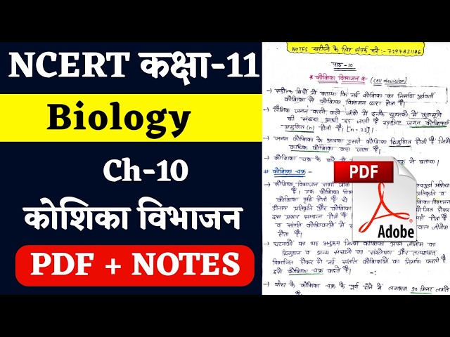 NCERT । Class 11th Biology Notes । Ch-10 कोशिका विभाजन । Ncert Class 11th Biology Notes in Hindi