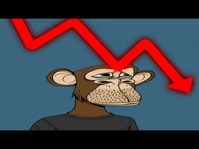 The price of monkey NFTs in 2026 lol