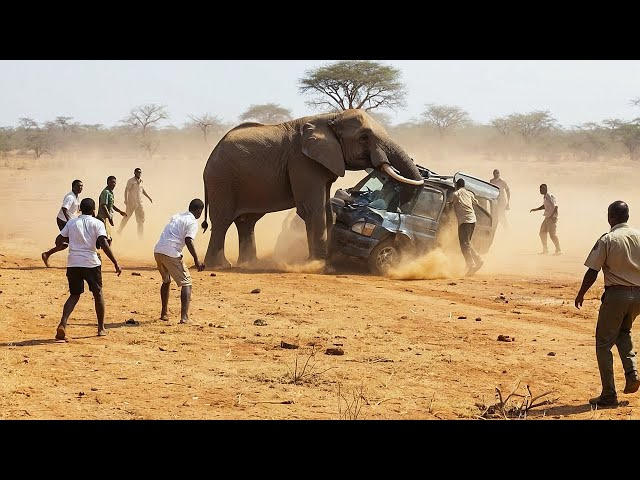 Safari Trips Went Horribly Wrong