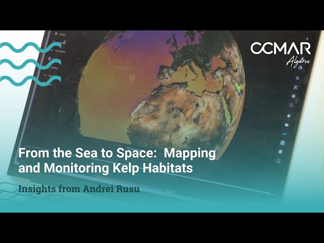 From the Seabed to Space: Monitoring Kelp Forests with AI and Satellites