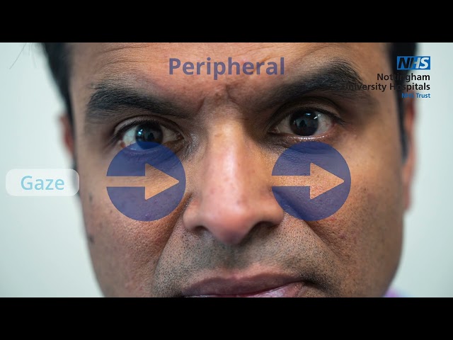 HINTS Demonstration