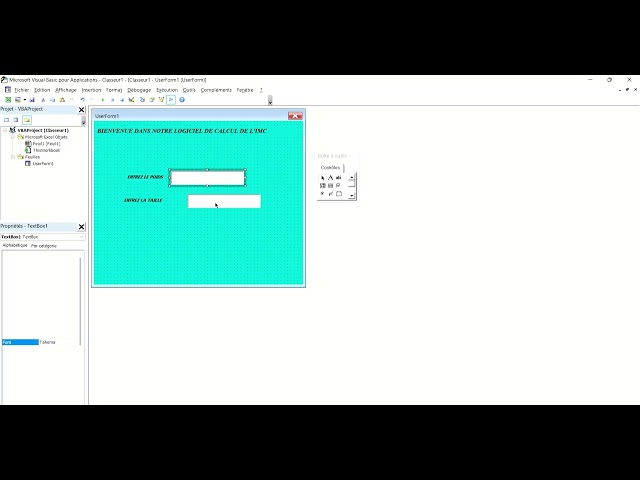 Création d'un logiciel complet de calcul de l'IMC en VBA excel (Indice de masse corporelle) partie 1