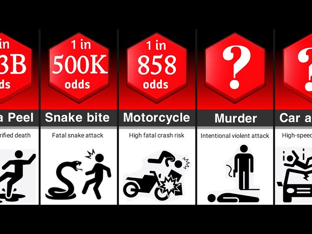 Probability Comparison: Human Death