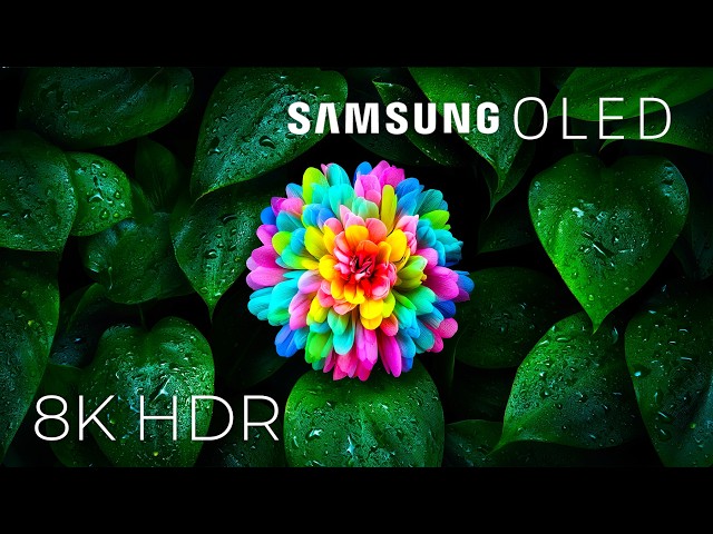 Samsung OLED Demo – Vivid Colors, Deep Blacks & Extreme Detail | 8K HDR Dolby Vision™ 60FPS
