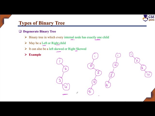 Types of Binary Tree in Data Structure | Trees | L 90 | Data Structures & Application