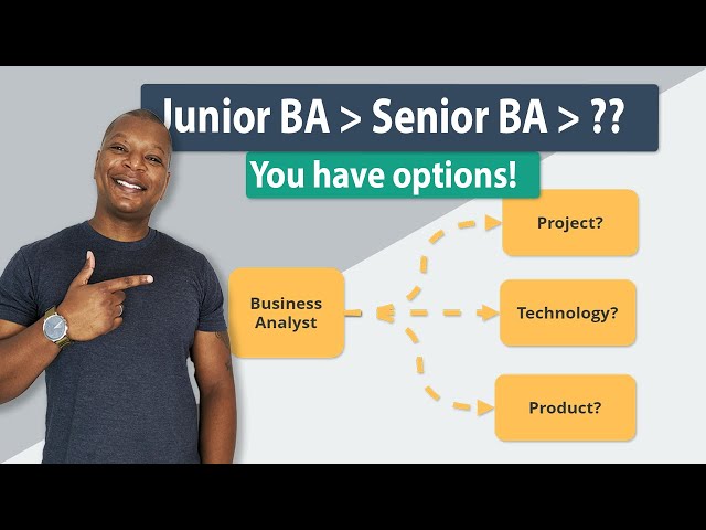 Business Analyst Career Path Junior BA, Senior BA, Then What? Exploring Your Options