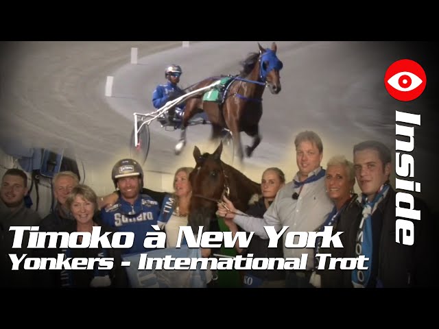 Les Aventures de Timoko à New York #INSIDE