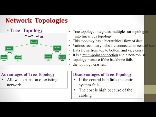 Computer Networks SYBCA.pptx