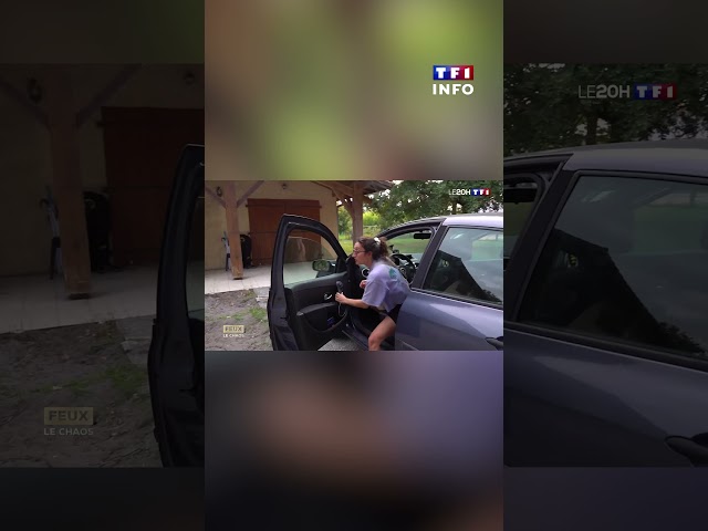 Wildfires in the Landes: in Biscarrosse, 3,000 evacuees return home｜TF1 INFO