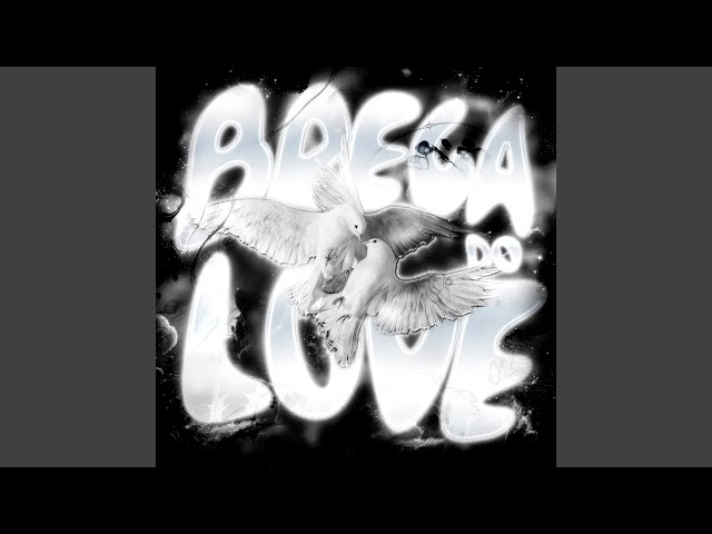 BREGA DO LOVE (ULTRA SLOWED)