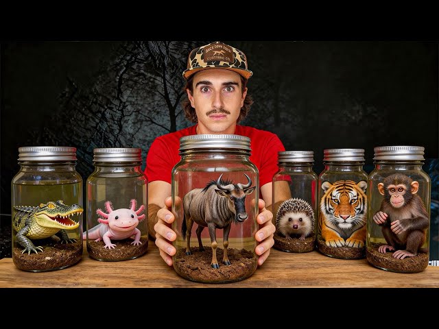 I Bought the Deadliest Creatures On the Dark Web! 