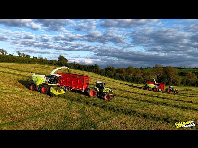 Scally Silage  - Silage 2026