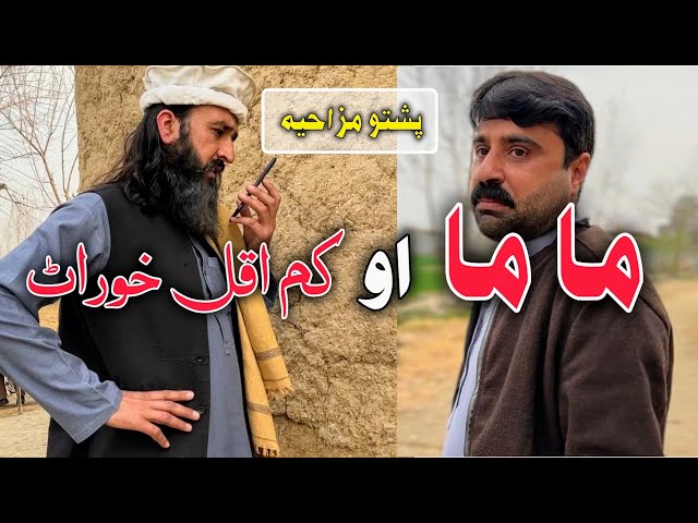 MaMa aw KamAqal Kwarat | Pashto Funny Video | Pashto Comedy Video By BD Vines 2025 #bdvines 