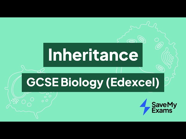 Inheritance: GCSE Biology (Edexcel)