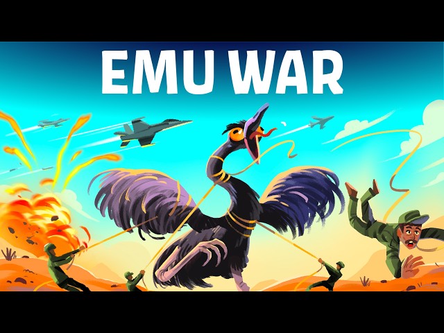 The Most Ridiculous War Humans Ever Fought