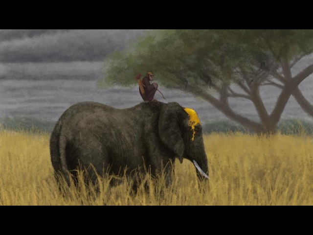 A Monkey Riding an Elephant (Module 12)