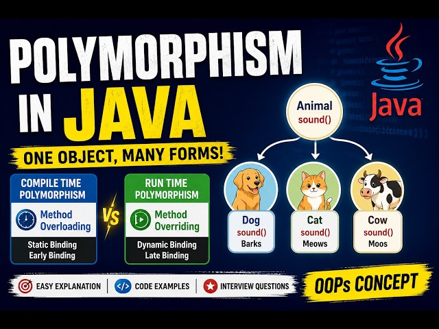 3 Polymorphism Java