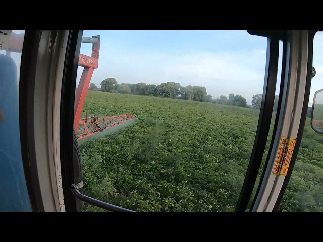 Última fumigación contra el tizón, la colza está saliendo, #agricultura #agricultor