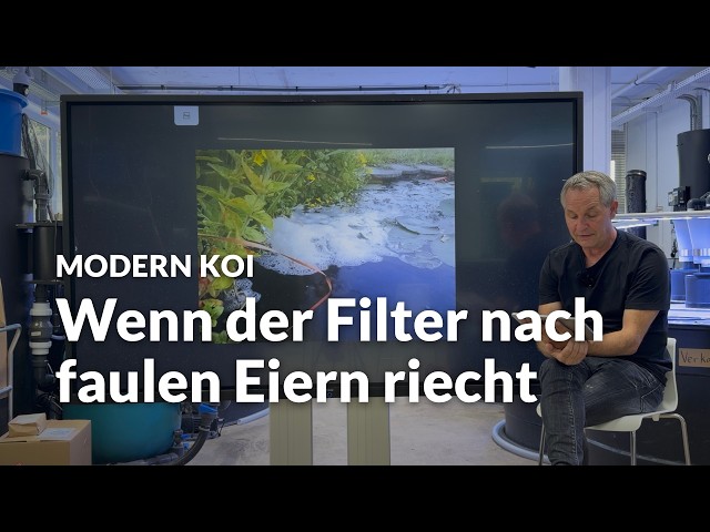 Why does the brush filter smell after cleaning? | Modern Koi Blog #8248