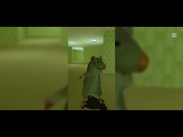 1 Hour Dancing Rat Meme (Jesus Mus1c - Chess Type Beat) TikTok