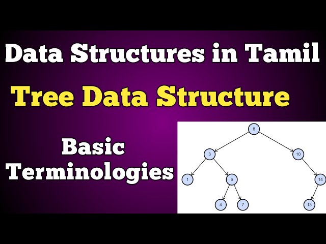 #15 Tree Data Structures in Tamil | Basic Terminologies | Conquer Victory