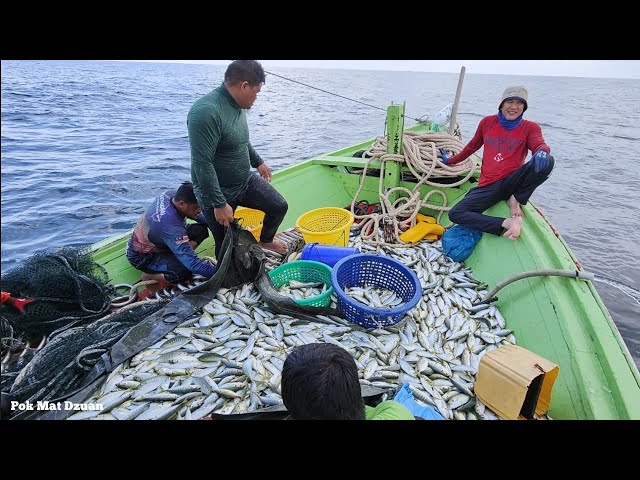 rezeki nelayan pukat jerut Kuala Marang Terengganu