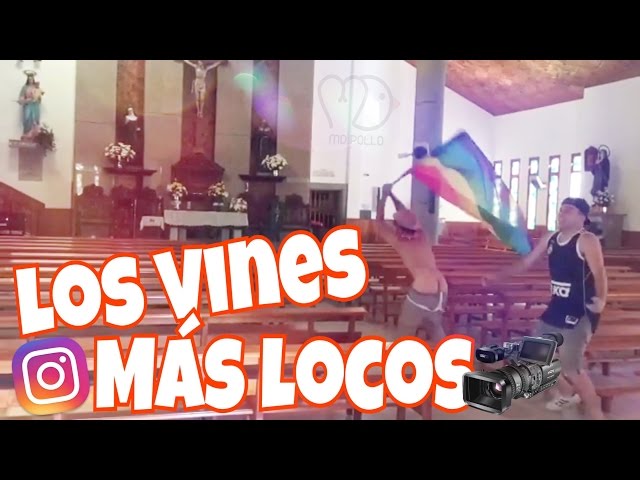 LOS MEJORES VINES DE MDPOLLO