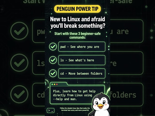 The 3 Linux Commands You Can't Break (Beginner Friendly)