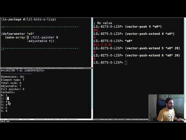Little Bits of Lisp - Adjustable arrays with fill pointers