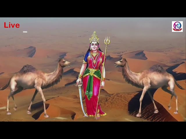 શ્રી મેલડી માતાજી નો નવરંગો માંડવો