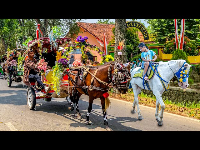 THE SPECIAL HORSE-DRAWN CARRIAGE SONG 🐴 Indonesian Children's Song | Happy Horseback Riding