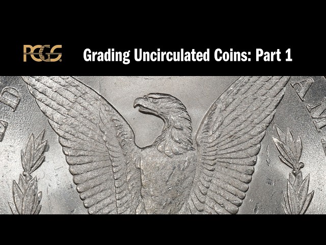 How to Grade Uncirculated Coins - Part 1: Surface Preservation
