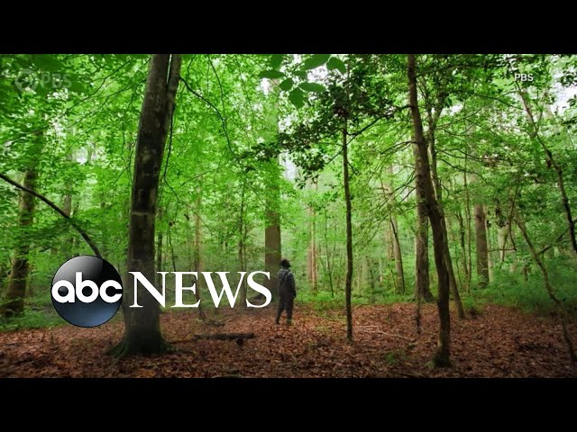 Exploring nature in ‘America Outdoors’ l ABCNL