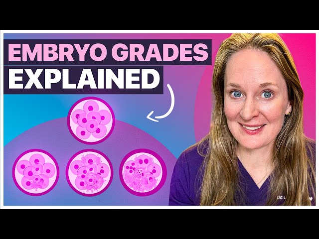The Truth about Embryo Quality: Blastocyst Grading Explained Simply